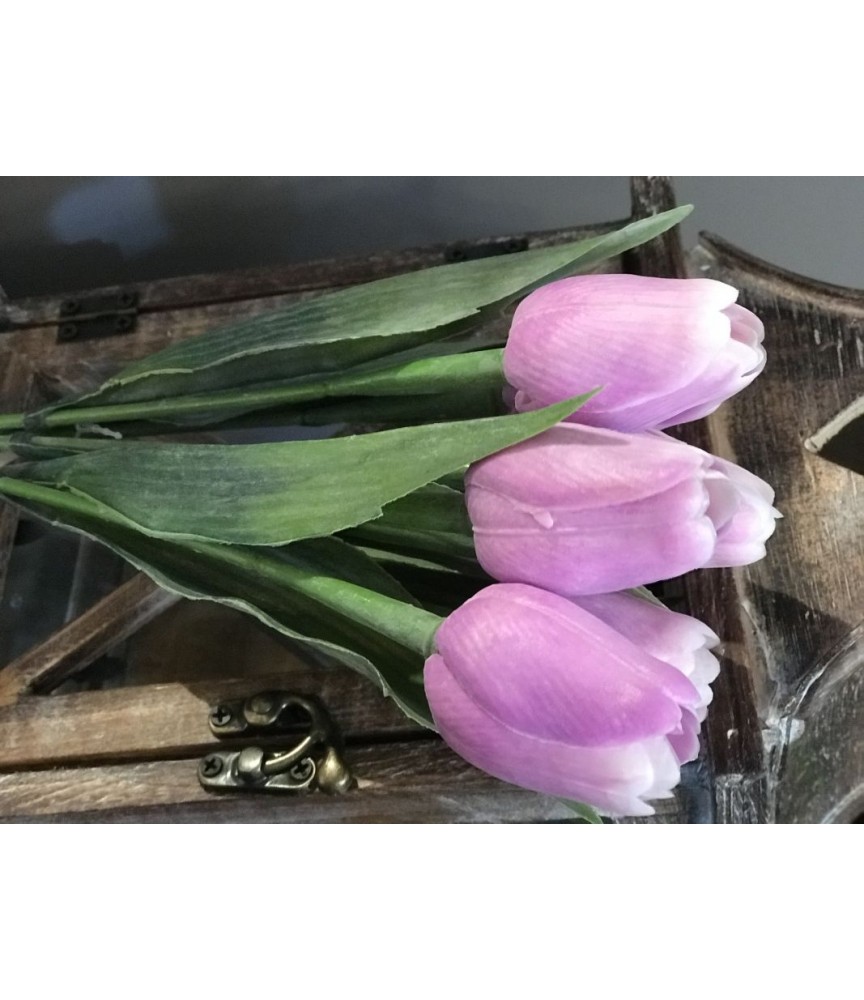 Can Tulipan sztuczny  plast 5szt
