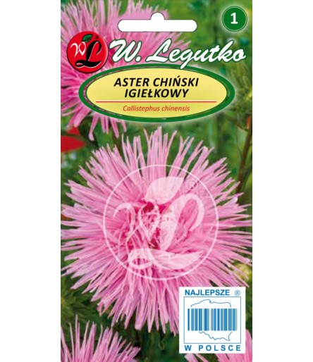 L.Aster chiński igiełkowy różowy
