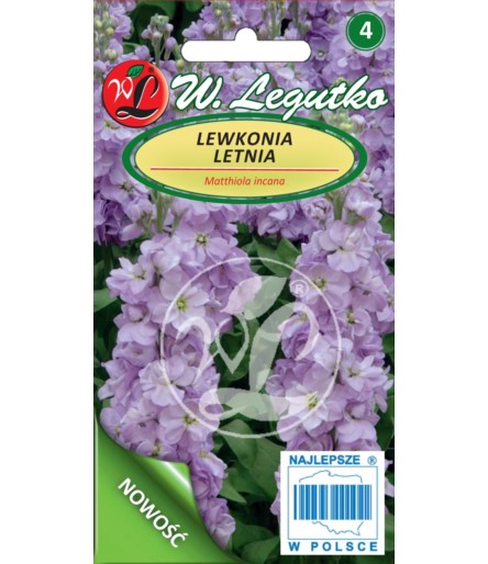 L.Lewkonia letnia liliowo-niebieskie