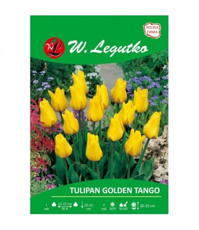 L.Tulipan Greiga Golden Tango 5szt