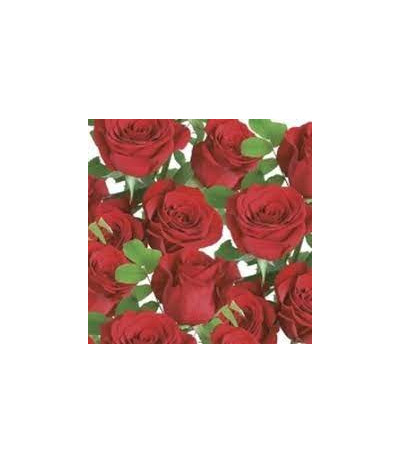 Maki  Serwetki papierowe 33x33 20szt Róże