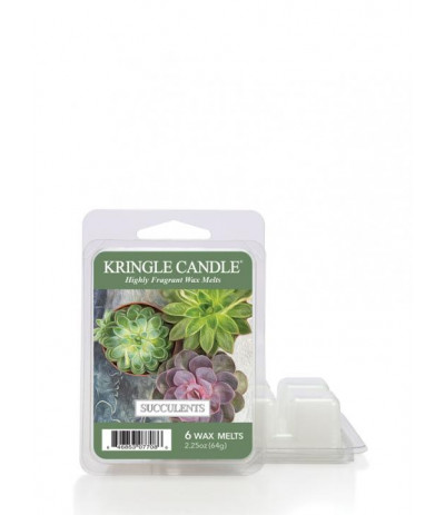 Kringle Candle Succulents Wosk Zapachowy 64g