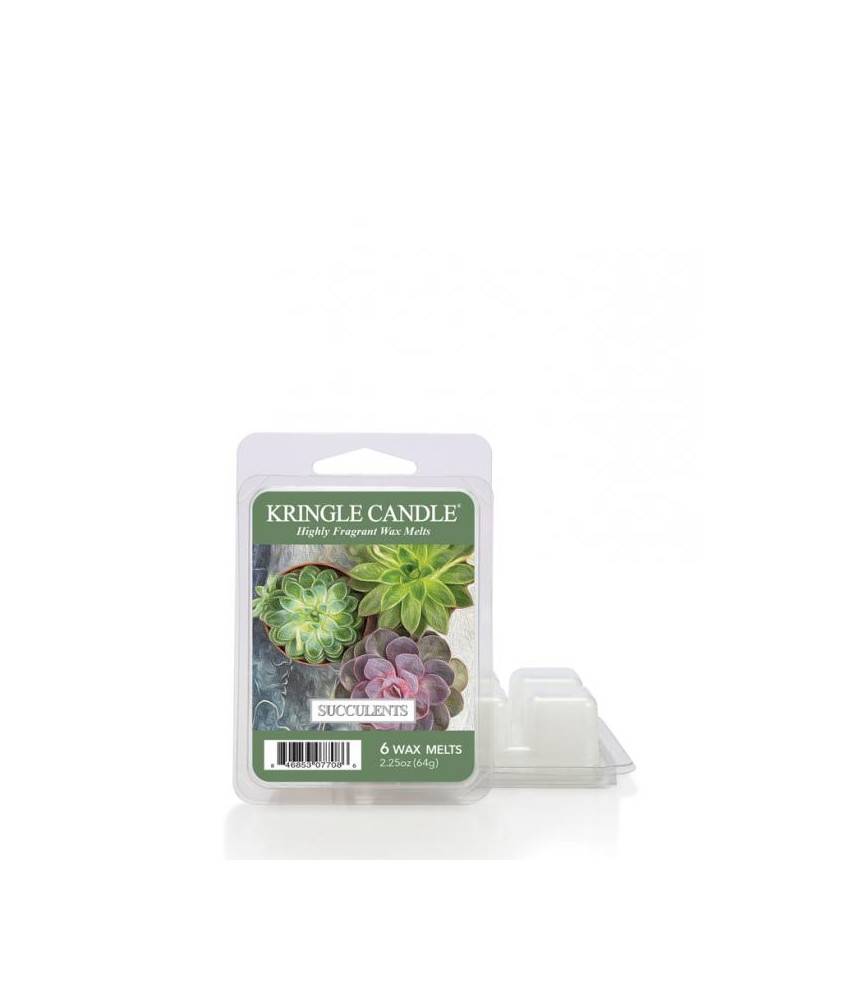 Kringle Candle Succulents Wosk Zapachowy 64g
