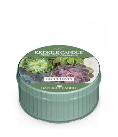 Kringle Candle Succulents Daylight 42g