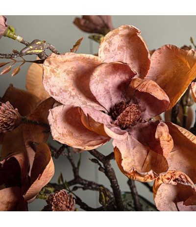 PTMD Magnolia Flower brown  z pączkami sztuczna