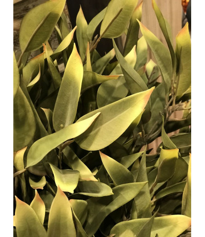 Sztuczna gałązka Eukaliptusu