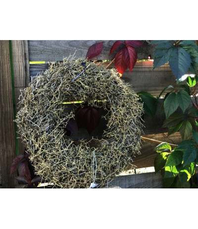 HBX Wreath Iron Bush Wianuszek suszony Dereń Świdwy