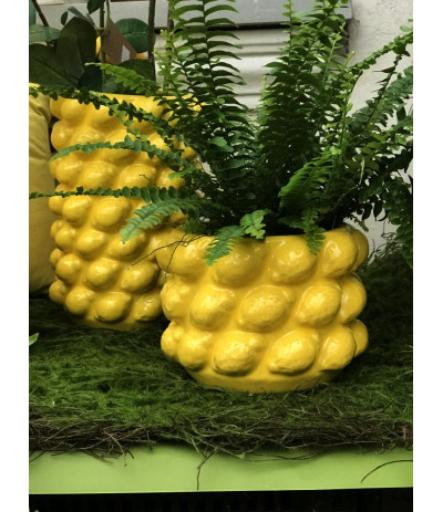 DIJK Planter lemon ceramic Osłonka cytryny 18cm Handmade
