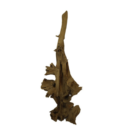 DIJK Root teak korzeń dekoracja 155 cm