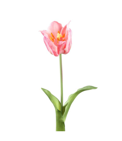 PTMD Tulip Flower Sztuczny tulipan