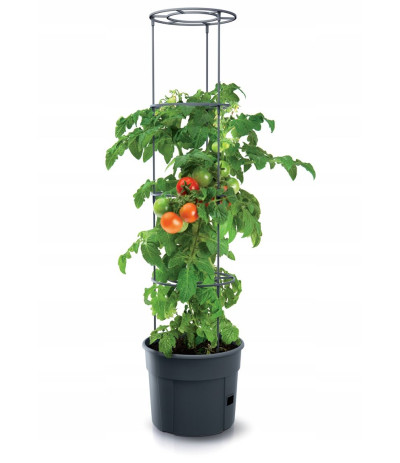 P.Tomato Grower Zestaw do hodowli pomidorów  Antracyt 400