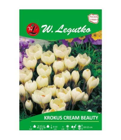 L.Krokus Cream Beauty 10szt